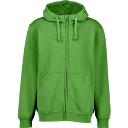 BASIC HOODY F ZIP - APPEL GREEN Standard Small1x1
